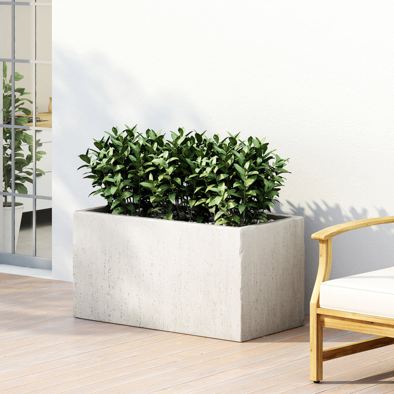 Boîte à fleurs rectangulaire d'extérieur moderne