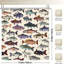 Rideaux de douche Colorful Fish Illustration, 71 x 71