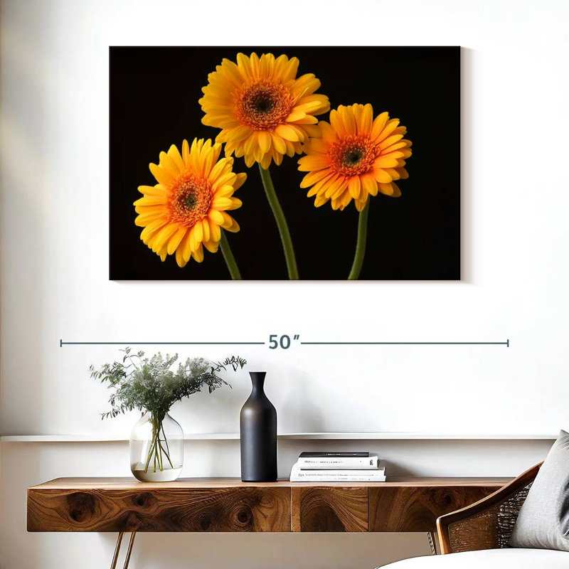 Trois marguerites Harnek sur fond sombre, H 26 po x l 39 po