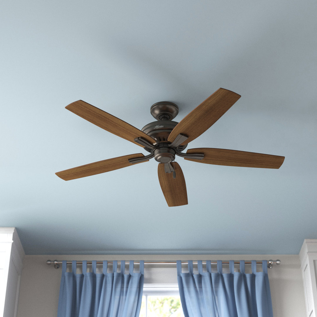 52" Newsome 5 - Blade Outdoor Standard Ceiling Fan with Pull Chain Hunter Fan 