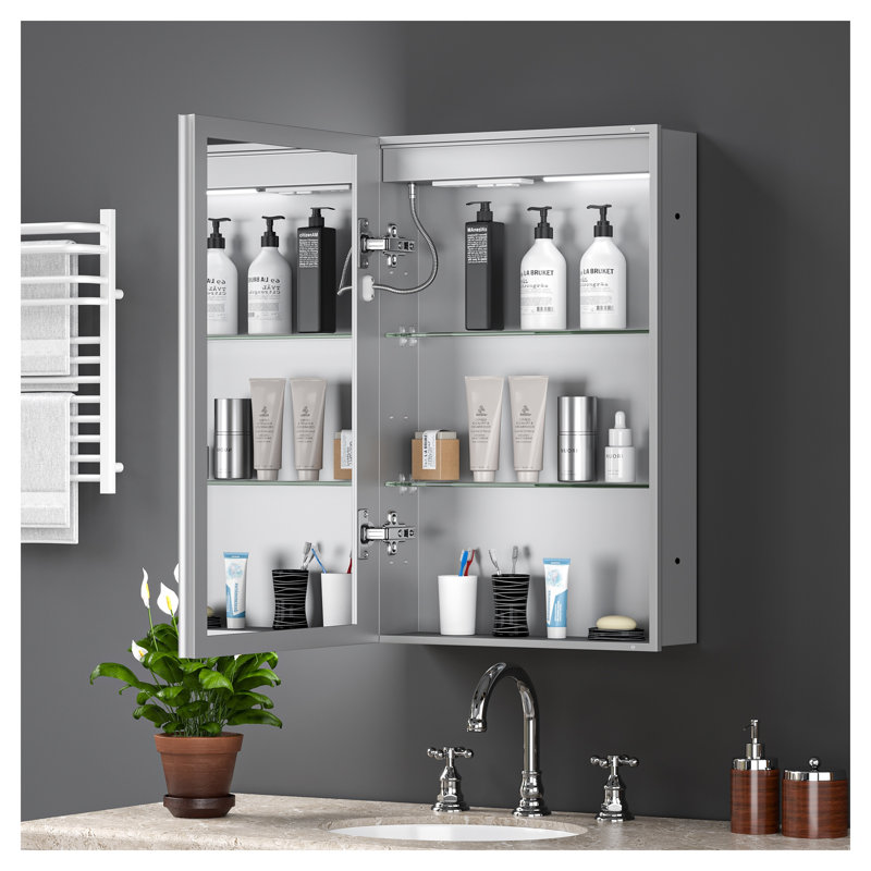 Pharmacie éclairée à DEL 20 "x 30" avec miroir, encastré ou en surface, argent