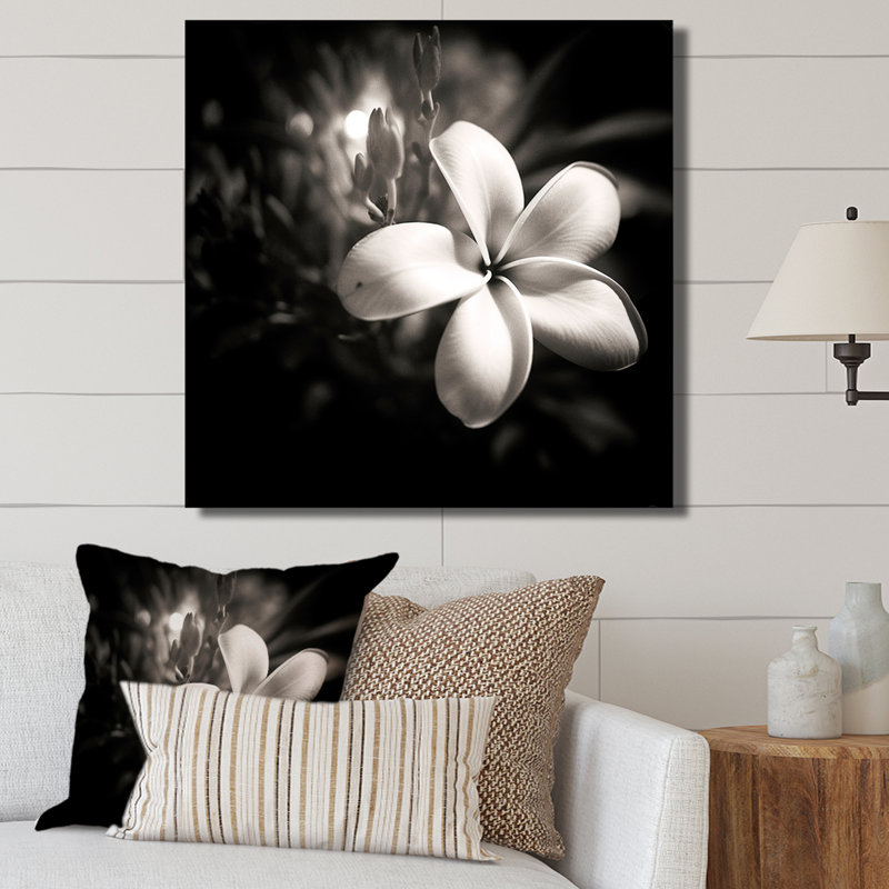 Spectrum Wild Moonlight Plumeria Beauty sur toile, H 16 po x l 16 po x P 1 po, Toile tendue