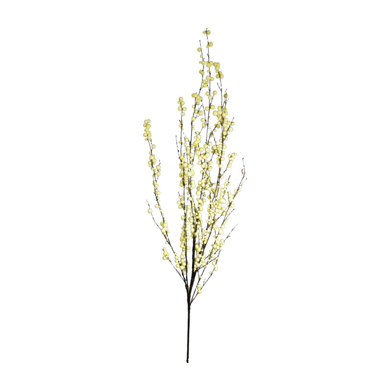 Branche de pulvérisation à baies snow