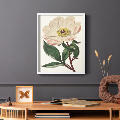 Pink Floral Mix VII Framed Print - Solid Wood