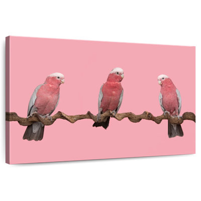 Three Birds