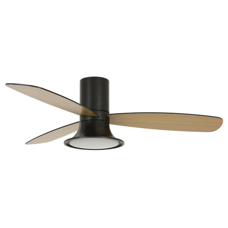 Haracha 132cm Ceiling Fan with Light Kit, Black, Black