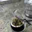 Customer photo 2 of 2
