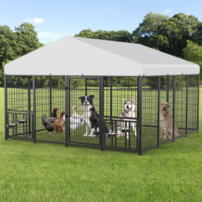 Metal Yard Kennel With 4 Blows
