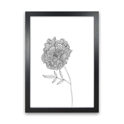 Marigold by Carissa Tanton - Print
