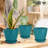 6 inch Plant Pots 5 Pack-846098986