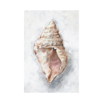 White Shell Study III 1 Piece Wrapped Canvas Wall Art