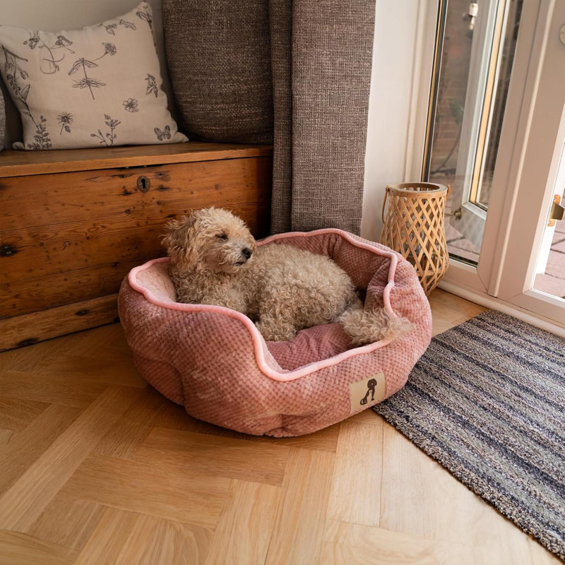Pet Bed