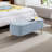 Cassiopia Modern Upholstered Storage Ottoman Bench with Faux Fur, Entryway Bench with Hidden Storage-916227274