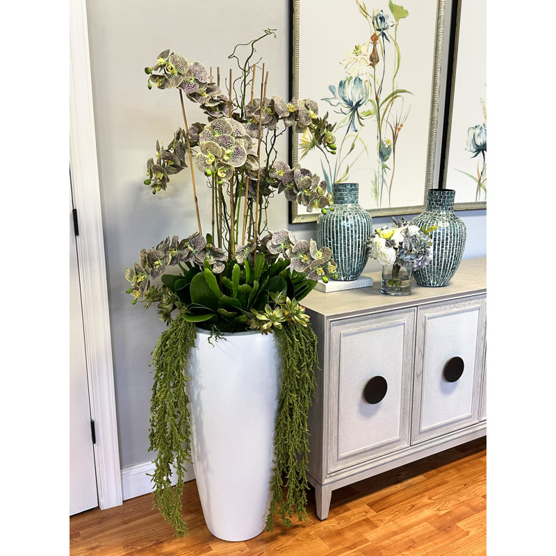 5.25' Orchid and Cactus Arranged in Fiberstone Planter