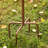 73.75'' H x 13.75'' W x 12.25'' D Weather Resistant Birdhouse