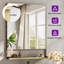 Tillymae Vertical Rectangle Wall Mirror with Shelves-1825033595-1865512185