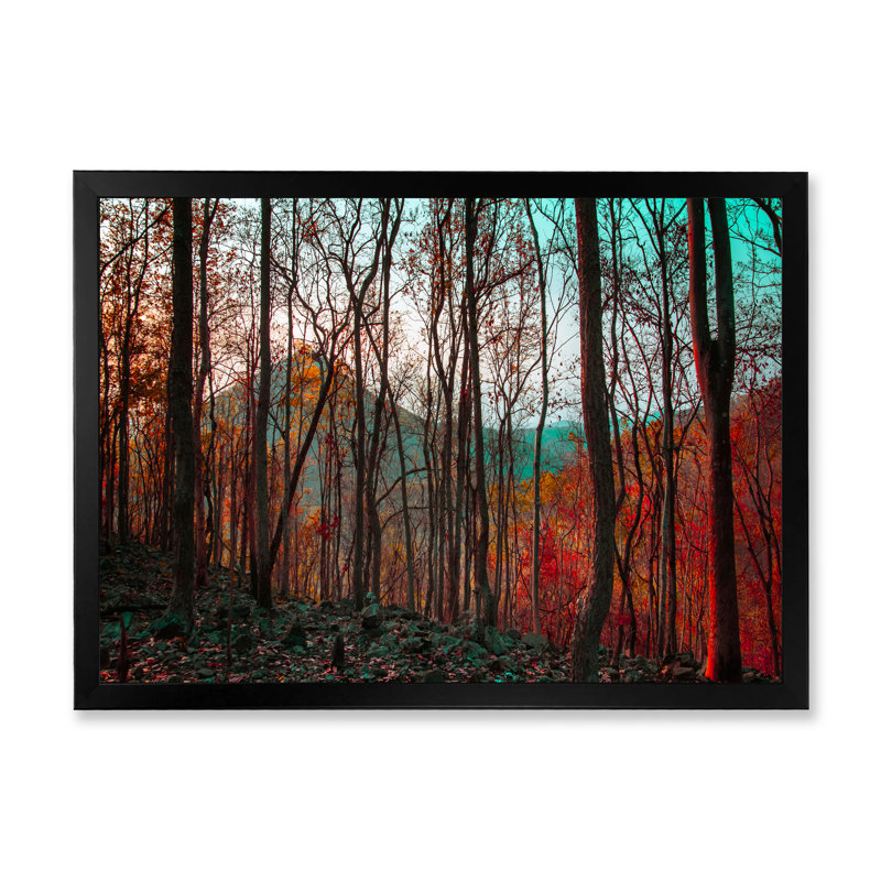«Beautiful Bright Path To Autumn Forest», reproduction sur toile, Cadre d'angle fermé noir, H 12 po x l 20 po x P 1 po