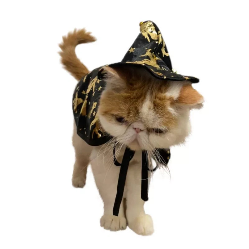 Chien, chat, déguisement d'Halloween, costume de sorcier, cape, sorcière, chapeau