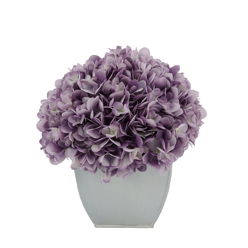 Arrangements floraux d'hortensias en pot, Lavande