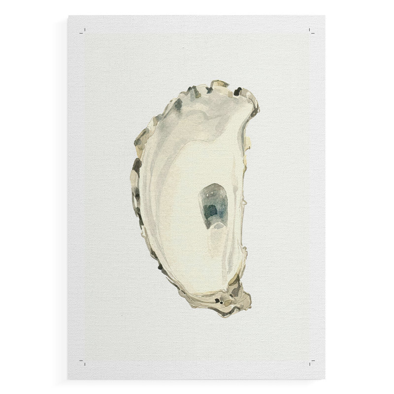 Neutral Oyster Study II - Impression sur toile seulement - NON-CADRE, H 18 po x l 12 po