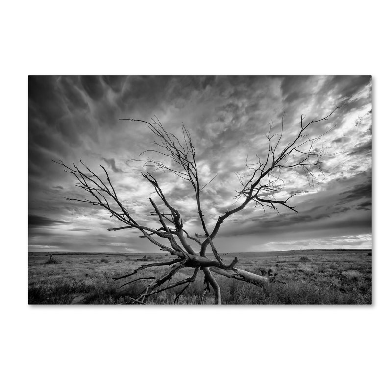 «Colorado Storm» par Leeth, reproduction de photo sur toile tendue, H 16 po x l 24 po x P 2 po