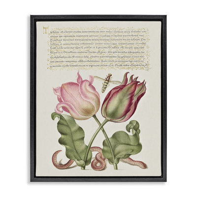 Tulipes et insectes, art mural encadré flottant antique par Melissa Wang