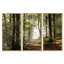 Forêt d'automne verte avec rayons de soleil - ensemble d'art mural sur toile encadré paysage-2128247312-2128247313