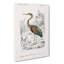 Purple Heron by Charles DOrbigny - Wrapped Canvas-55322596