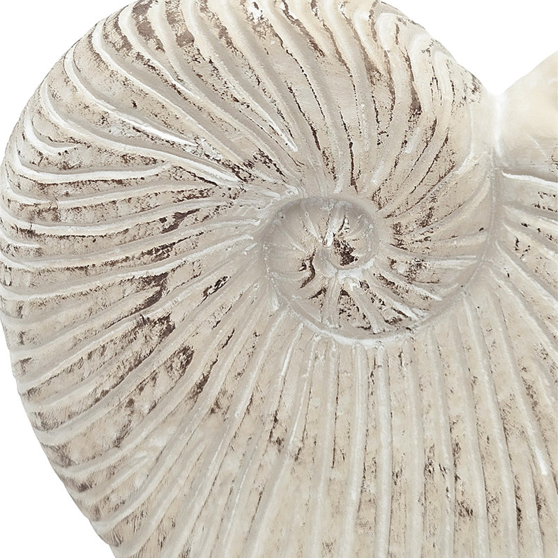 Sand And Cement Nautilus Shell Planter, 7.7" H x 11.5" W x 6.7" D