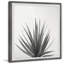 Agave Crown - Single Picture Frame Painting-1427291349