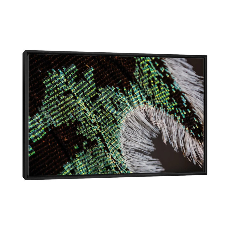 Diffracting Light par Elena Kulikavo - reproduction de photo sur toile, Toile avec cadre noir, Pas de tapis