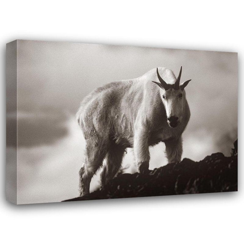 Art sur toile tendue par Millwood Pines, Fitzharris, Tim, H 36 po x l 47 po
