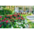 1 Gallon Autumn Bonfire Encore Azalea - Re-Blooming Evergreen Shrub with Red Blooms