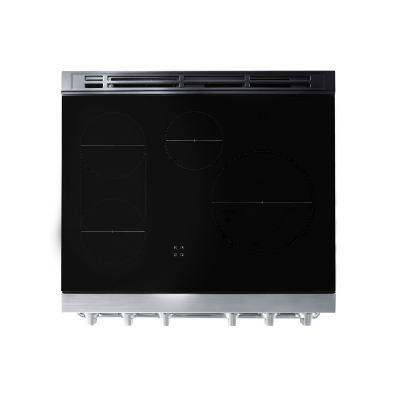 30" Pro-Range 4 Burners, Transitional, Silver, NG/LP, Induction