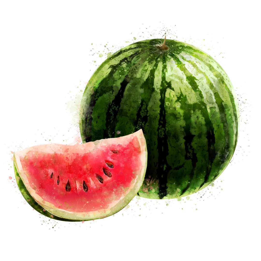 Wassermelone - Kunstdrucke auf Segeltuch