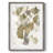 Ginkgo Accent I -Framed Print