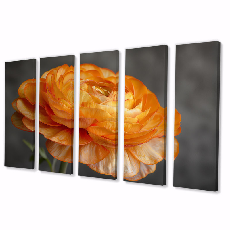 Orange And Black Ranunculus Bloom I - Ranunculus Wall Decor Set, 28" H x 60" W