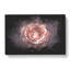 Pink Tipped Rose Flower - Wrapped Canvas-56648395