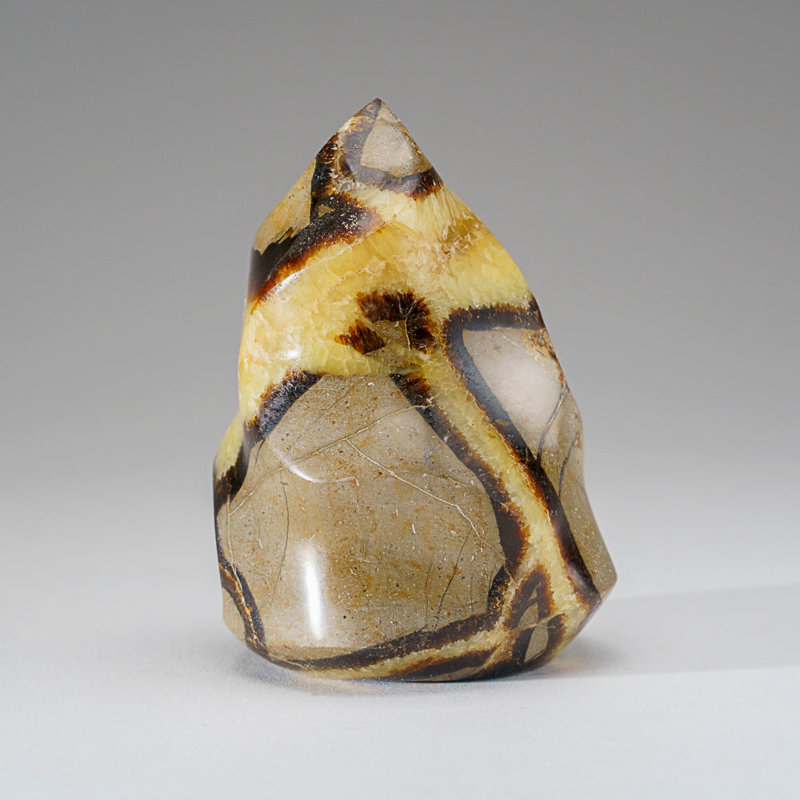 Septarian Crystal