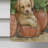 Double Sided Polyester Animal Garden Flag-163190469