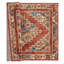 Summertown Oriental Indoor Rug-1902767744