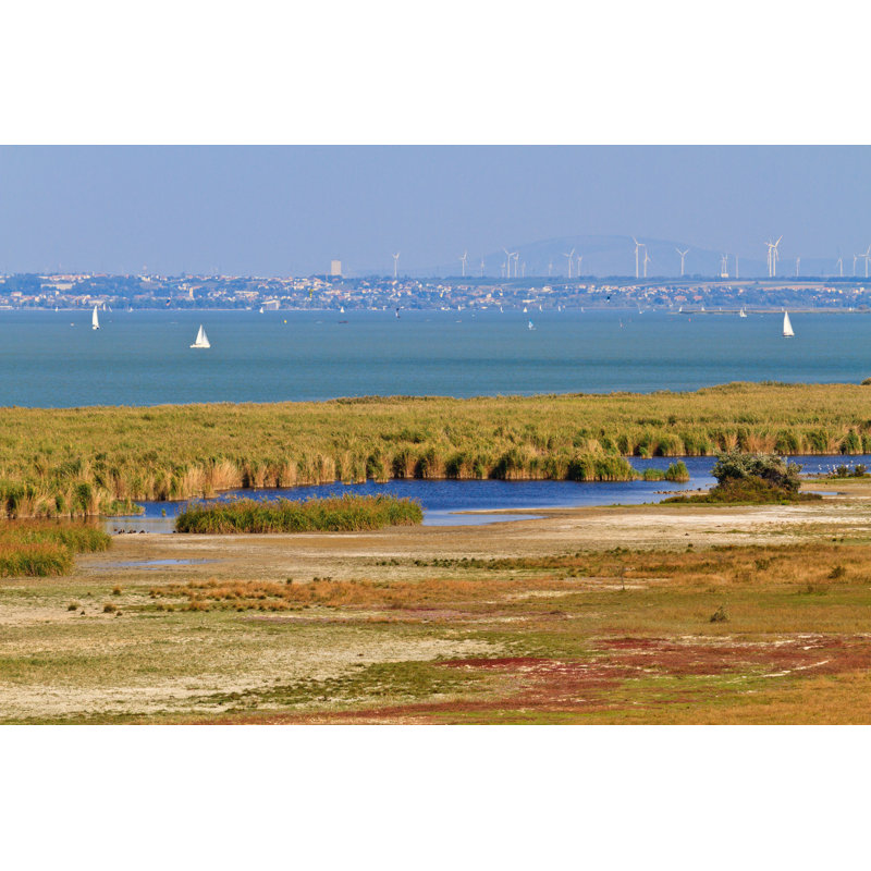 Reed Belt by Bertl123 - Wrapped Canvas Print, 61cm H x 91cm W