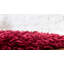 Tapis rouge-24844843