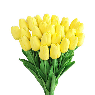 Tiges de tulipes