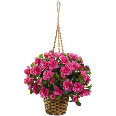 Panier suspendu azalea