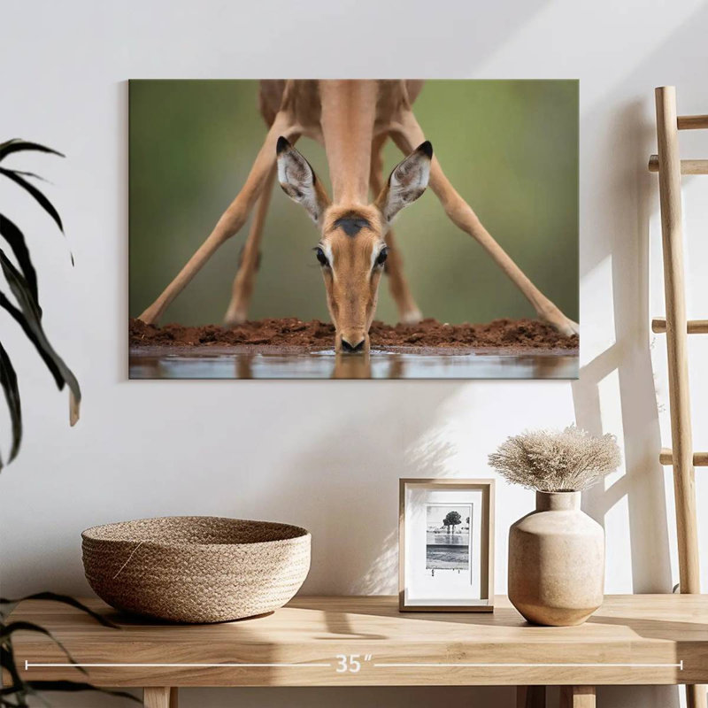 Brampt Drinking Deer, 32" H x 48" W
