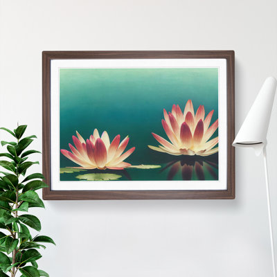 Sensational Water Lily Flowers - Framed Print