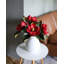 Crimson Red Magnolia 24"