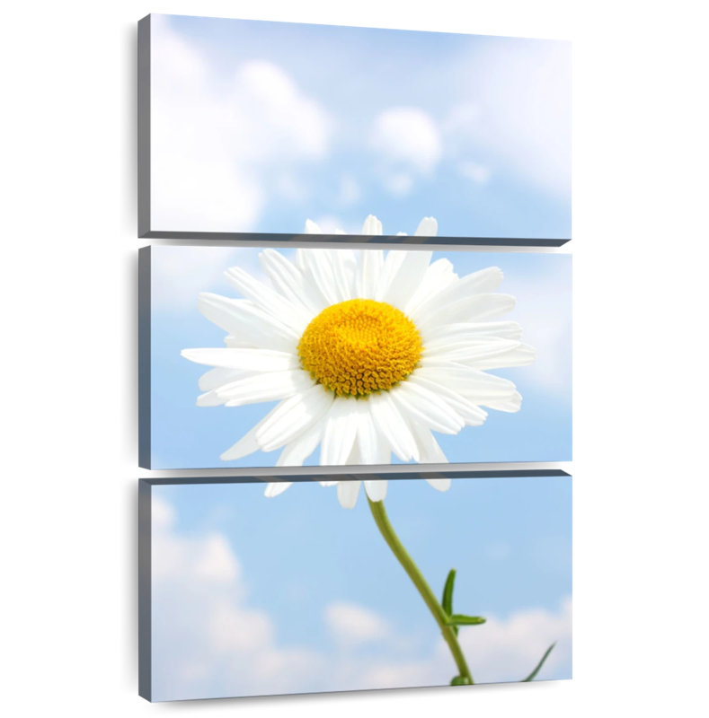 Harnek White Daisy Against Cloudy Sky, 32'' H x 20'' W