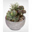 Faux Succulent in Stone Pot